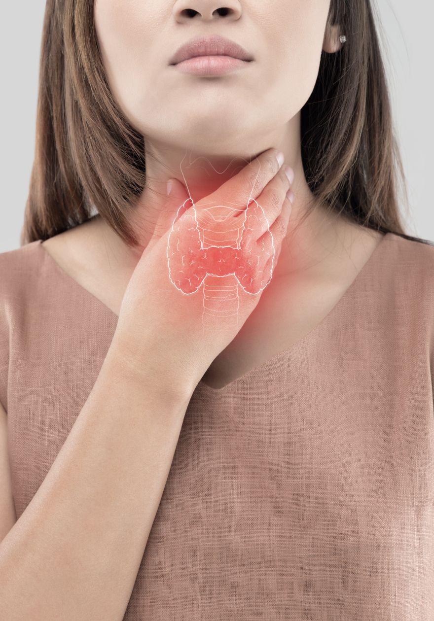 Woman with thyroid highlighted, illustrating symptoms of Thyropause and thyroid slowdown.